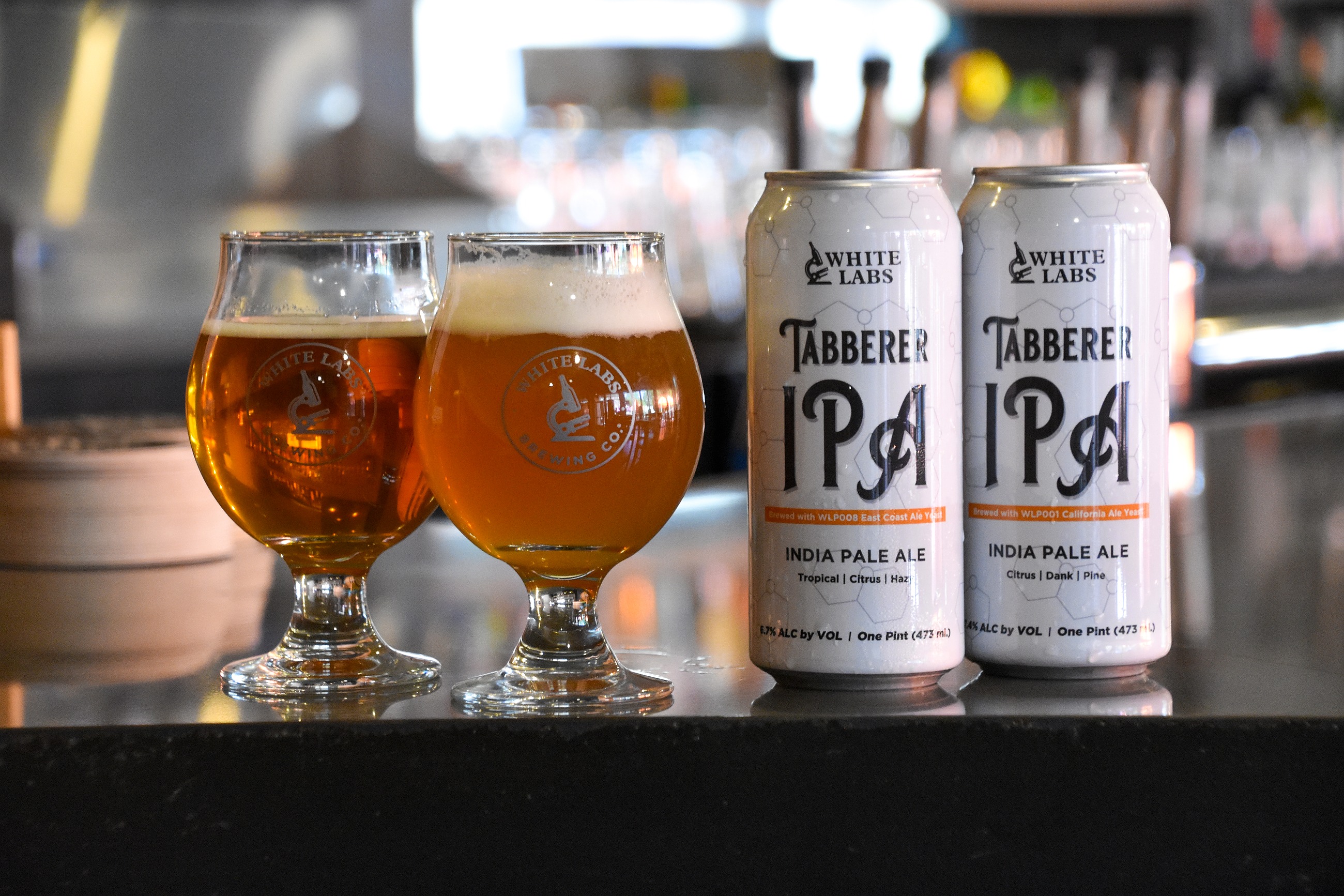 TABBERER IPA FOUR-PACKS